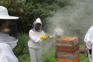 Kay Cogan smoking the bees